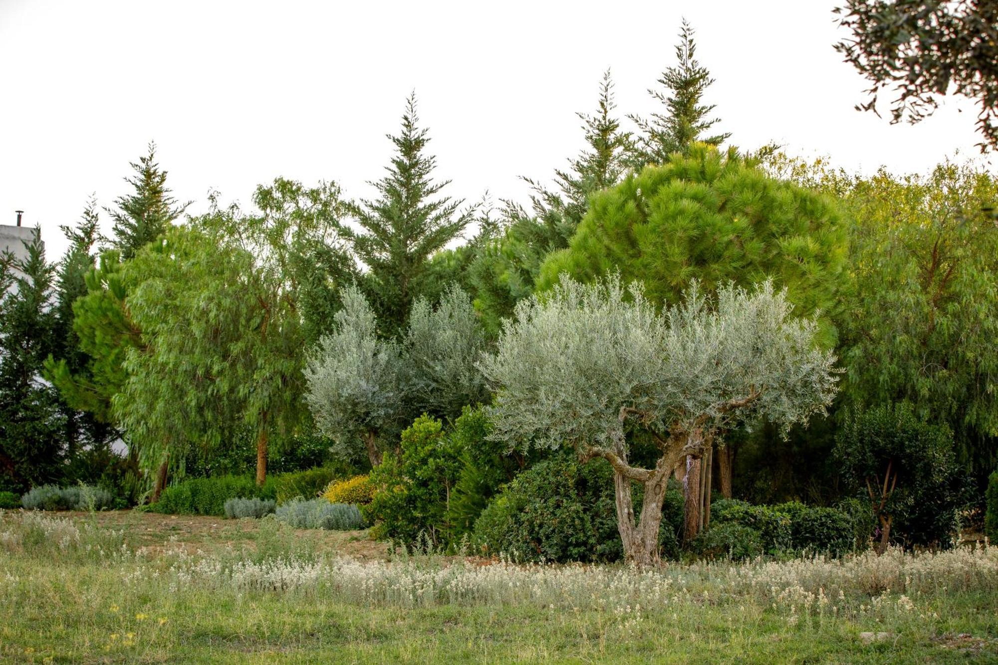 Monte Da Hortinha Villa Estremoz Exterior photo
