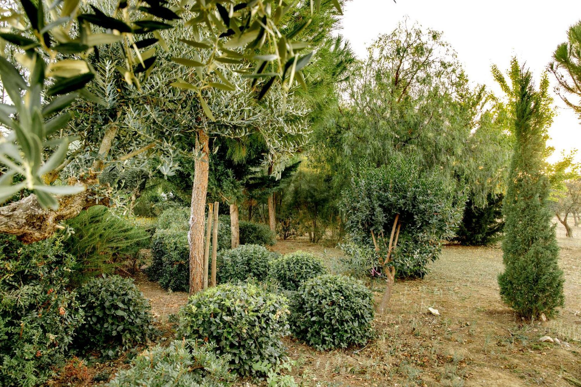 Monte Da Hortinha Villa Estremoz Exterior photo